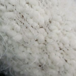 Meet your Posher, Isabella